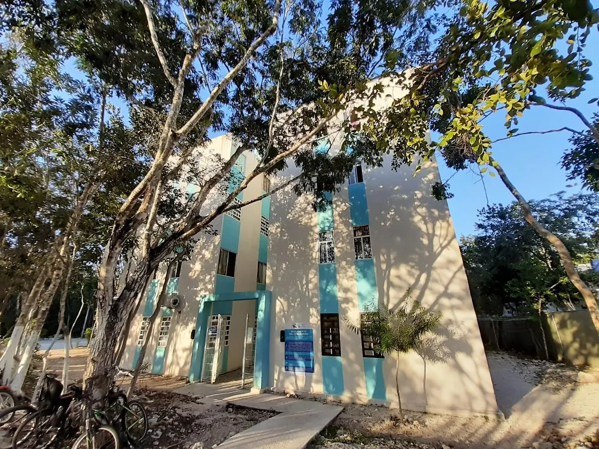 The Jungle Side Apartment Puerto Aventuras México