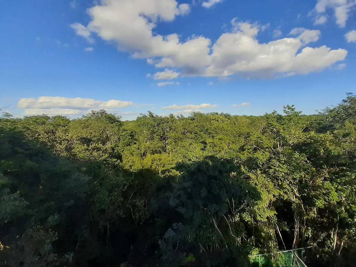 The Jungle Side Apartment Puerto Aventuras Accommodatie bij particulieren